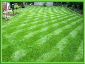 Lawn-after
